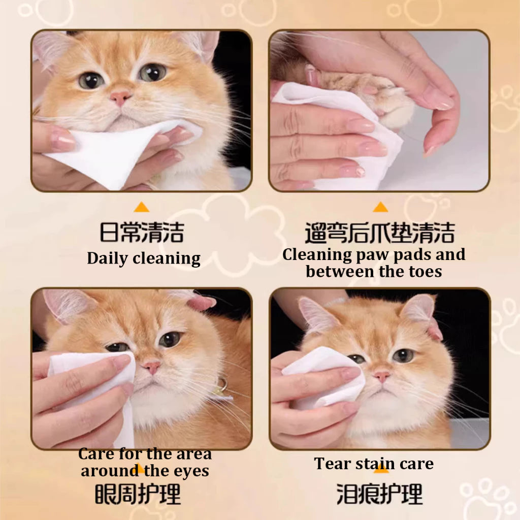 Deeyeo x Wizzpet Pets SPA Hyaluronic Acid Wipes Wet Tissue (80 Sheets) | Pet Care