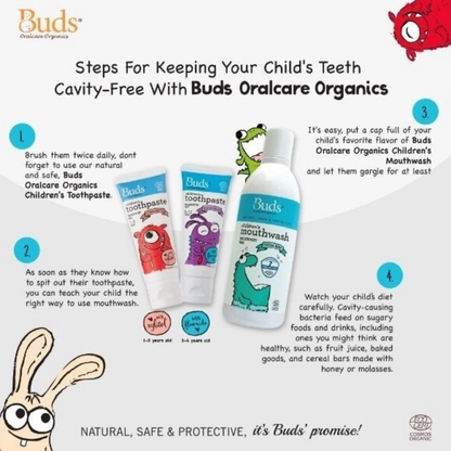 BUDS ORGANIC Buds Children's Toothpaste Xylitol & Fluoride Pack  | Baby Skincare