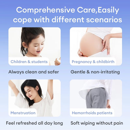 DEEYEO Flushable Wet Toilet Tissues (80 Sheets) | Personal Care